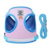 Cat Harness and Lead Set, Soft Mesh Harness for Cats,