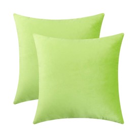 Jeneoo Set of 2 Cozy Soft Velvet Throw Pillow Cases for Sofa Couch, Comfy Decorative Solid Square Cushion Covers for Bedroom Car (18 x 18 Inches,Lime Green)
