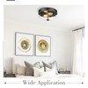 Emliviar 1 Pack Ceiling Light Fixture with Clear Glass Shade