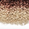 GoGo Curl Crochet hair 18inch Water Wave Crochet hair Ombre