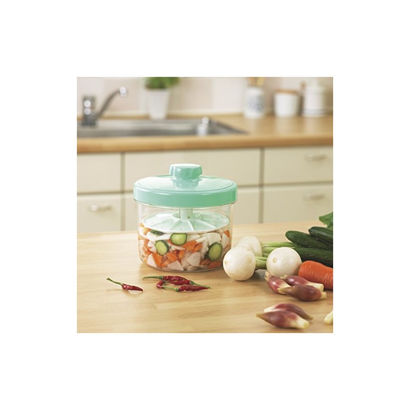 Tombow Storage Container, Pickle Container, 0.3 gal (1.6 L), Made