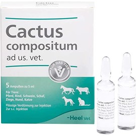 Cactus COMPOSITUM ad us.vet ampoules pack of 5