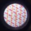 50X Handheld Microscope Pen, Wireless Pocket Microscope LED Lighted Magnifying