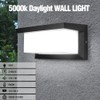 Sytmhoe 5000K Daylight White Outdoor Wall Sconce Lights, LED Exterior