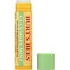 Bálsamo Labial Burt's Bees Pepino y Menta 4.25 G