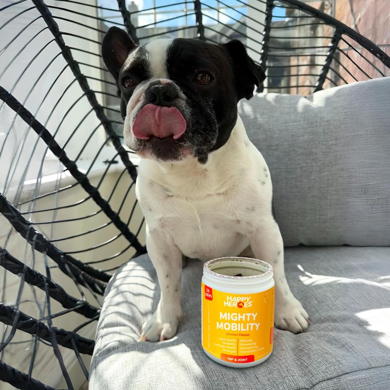 Happy Heroes - Mighty Mobility, Premium Dog Hip & Joint