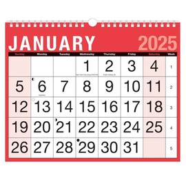 2025 Calendar Month to View Easy View Monthly Planner Large Print 8025