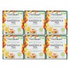 Tierra Madre Gastriti-S Tea Gastritis - Herbal Supplement 6 tea
