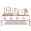 Rose Gold 18th Birthday Decorations - 69pcs Tableware Set for