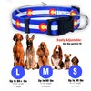 Native Pup Colorado Flag Dog Collar (Colorado Blue, Small)