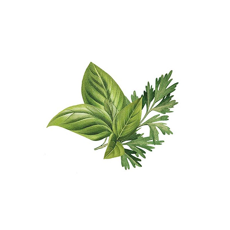 Biotique Bio Basil & Parsley Revitalizing Body Soap With Pure