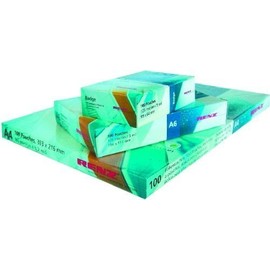 Renz Plastic Pockets Credit Card Size – 86 x 54 mm – 2 x 80 Micron