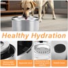 Luziyun Water Bowl for Dogs Stainless Steel Dog Drinking Bowl