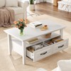 Marsail Farmhouse Coffee Table with Storage, 39.4" Wood Coffee Table