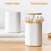 Toothpick Dispenser Toothpick Holder, Pop-Up Automatic Toothpick Dispenser with Easy-Lift