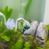 Senzeal CO2 Drop Checker Glass Aquarium Monitor CO2 Indicator for