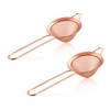 Small Strainer Set of 2, E-far 3.3 Inches Stainless Steel