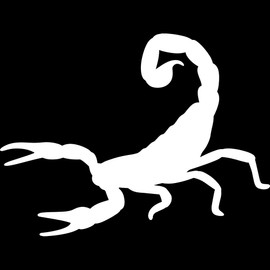 Decal Stickers of Scorpion Silhouette Funny (White) (Set of 2) Luxury Weatherproof Vinyl Decal Stickers for Laptop Desktop Smartphone Car Dirt Bike Wall Room Mason Jar - BICVER1049331WHW19Y24