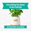 Wellness Grow Kit: Basil
