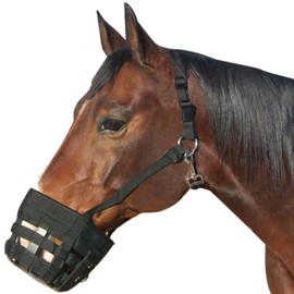 Best Friend Deluxe Grazing Muzzle with Attached Halter - Muzzle & Breakaway Halters for Horses, Horse Grazing Muzzle, Ventilated, Control Food Intake, Lightweight with Padded Noseband, Cob Size