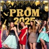 ZKFSIE Prom Night Banner Prom Decorations 2025, Class of 2025,
