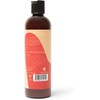 JBCO Shampoo