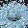 Professional Spring Color Glitter No Fine Glitter 12PCS 2oz Shakers
