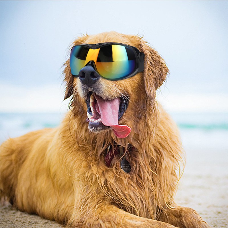 Medium and Large Dog UV Goggles Sunglasses Pet Eyes Protective