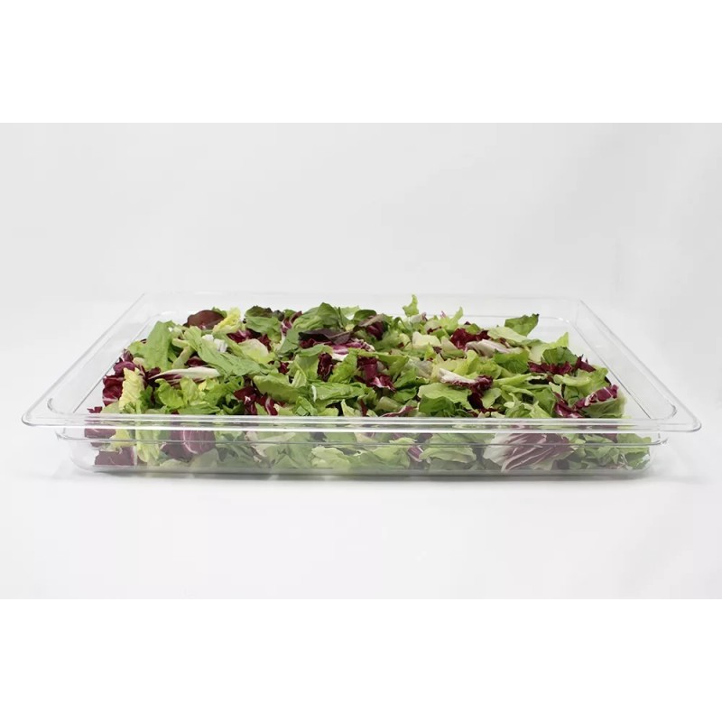 Dilitools Inserto De Policarbonato Entero 2.5 , 9.0 Qt Dilitools