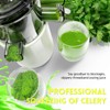 Cold Press Juicer Machines Slow Masticating High Yield Multi-Functional for
