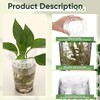 Baderke 35 Pcs Plastic Plant Propagation Station Desktop Terrariums Plant