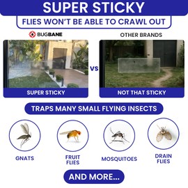 100 Window Fly Traps Sticky Non-Toxic Clear Fly Paper Indoor for Home. No Mess Flies Window Sticky Traps Bug Flies Strips Indoors. Fruit and Housefly Trap Indoor Flypaper Tape Gnat Catcher Killer