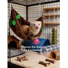 HEUHAI 10-Pack Ferret Jingle Bell Toy Balls, Non-Toxic PP, Hollow
