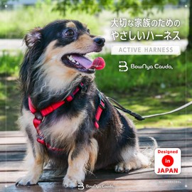 BowNya Cauda, Active Harness Blue Small