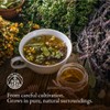 Tranquillity Tea Monte Nativo (300g) - Herbal Blend for Relaxation