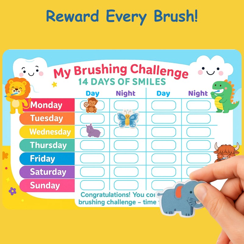 Kids Toothpaste Multi Pack Bundle - 4 x Splash Toothpaste
