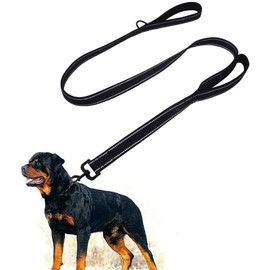 Dog Lead for Large and Medium with Integrated Short Lead, Reflective Lead, 2 Hand-friendly Padded Hand Loops, 1.5 m Lead