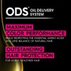Garnier Olia 2P Dark Black Platinum No Ammonia Permanent Hair