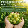 Amla Capsules, Amla Superfruit Capsules 1000mg, Amla Fruit Extract, Amla