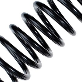 Eibach coil spring rear R10091