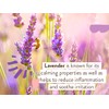 Babo Botanicals 3 In 1 Bubble Bath Shampoo Wash, Lavender