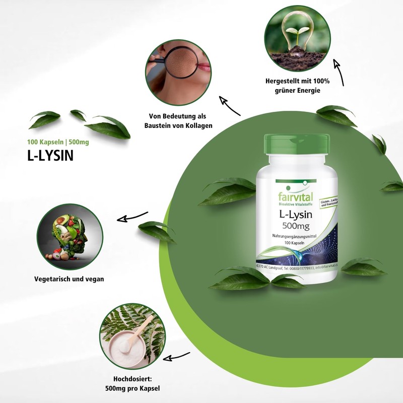 L-Lysine Hochdosiert 500mg (100 Capsules – Vegetarian – Pure L-Lysine