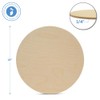Wood Circles 14 inch, 1/4 Inch Thick, Birch Plywood Discs,