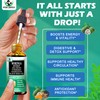 Moringa Drops,Pure Moringa Oleifera Liquid Extract with Soursop Sea Moss