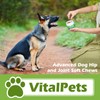 Advanced Hip and Joint Supplements for Dogs with Glucosamine, Chondroitin,