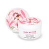 Nature Republic 네이처 쉐어버터 스팀크림 울트라 100ml /극건성 Nature Sheabutter Steam Cream Ultra 100ml / Extremely Dry Skin