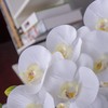 Fnize Orchid Stems Artificial Flowers Real Touch Latex Faux Phalaenopsis
