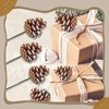 20 Pieces Christmas Pine Cones Decorations Picks, 2 Inch Natural