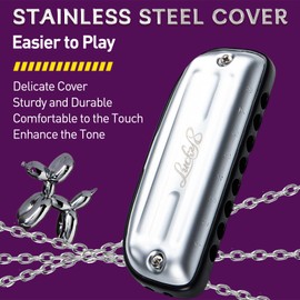 East Top 8 Hole Blues Harmonica, D Key, Silver