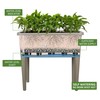 Dexceder 13.2 Gallon Self Watering Raised Garden Bed with Ventilation